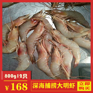 海捕白虾北海国产大明虾鲜活鸡尾虾海鲜水产冷冻新鲜薄皮海虾800g
