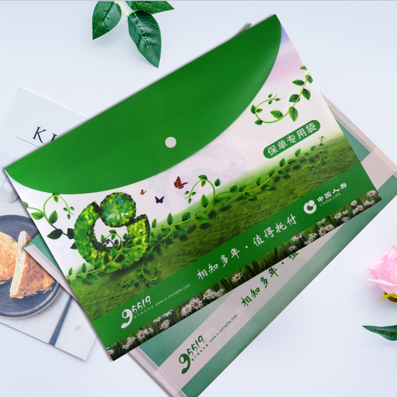 保险资料袋封套文件袋批发包邮