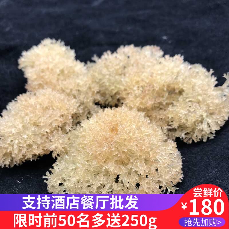 竹燕窝750g四川宜宾竹海特产新鲜竹花天然野生竹菌煲汤炒素食材