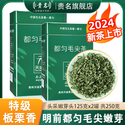 明前特级都匀毛尖2024新茶浓香型