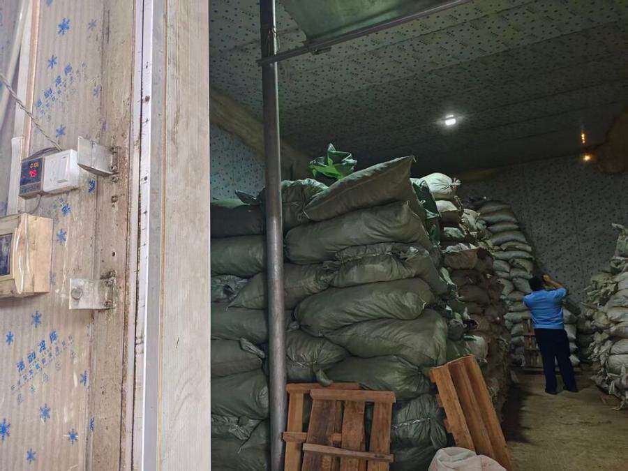 4月3日玉林市中药材牛大力根一批网络拍卖公告