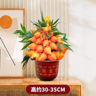 黄金果盆栽五代同堂果年宵花过年花卉室内客厅观果植物新年礼品