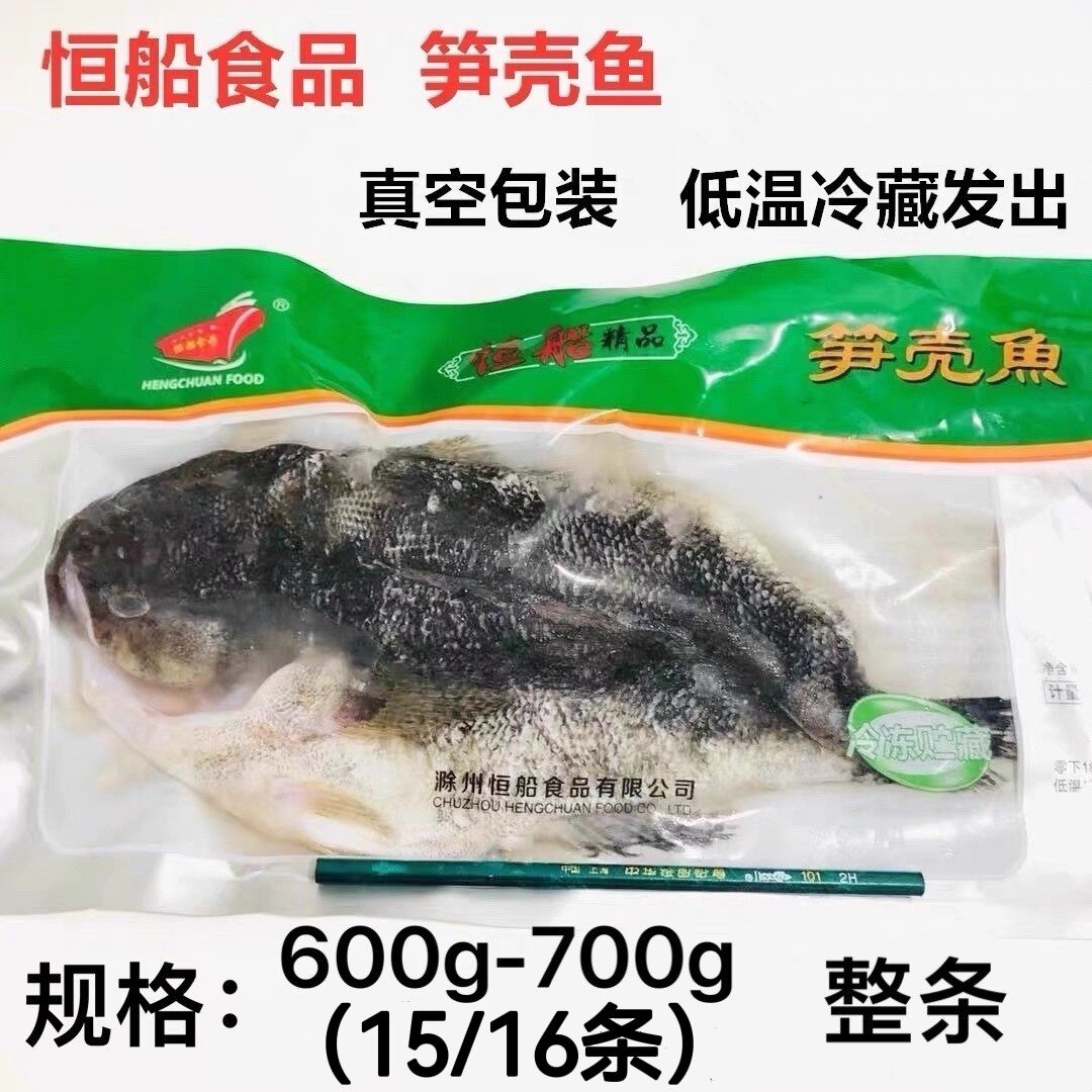 新鲜冷冻笋壳鱼腌制调理开背净膛半成品虎头鱼鱼酒店商用食材