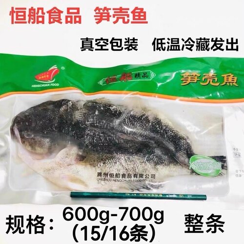 新鲜冷冻笋壳鱼腌制调理开背净膛半成品虎头鱼鱼酒店商用食材