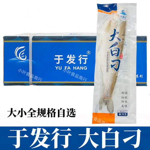 于发行大白刁整箱半片大白鱼新鲜冷冻淡水鱼半成品酒店私房菜食材