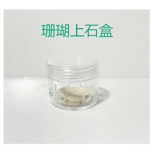 珊瑚繁殖上石盒防跑皮革姑切割上石繁殖上石盒
