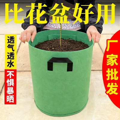 美植袋加高种树无纺布特大号花盆