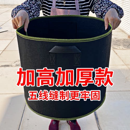 种美植袋加厚黑色无纺布出口