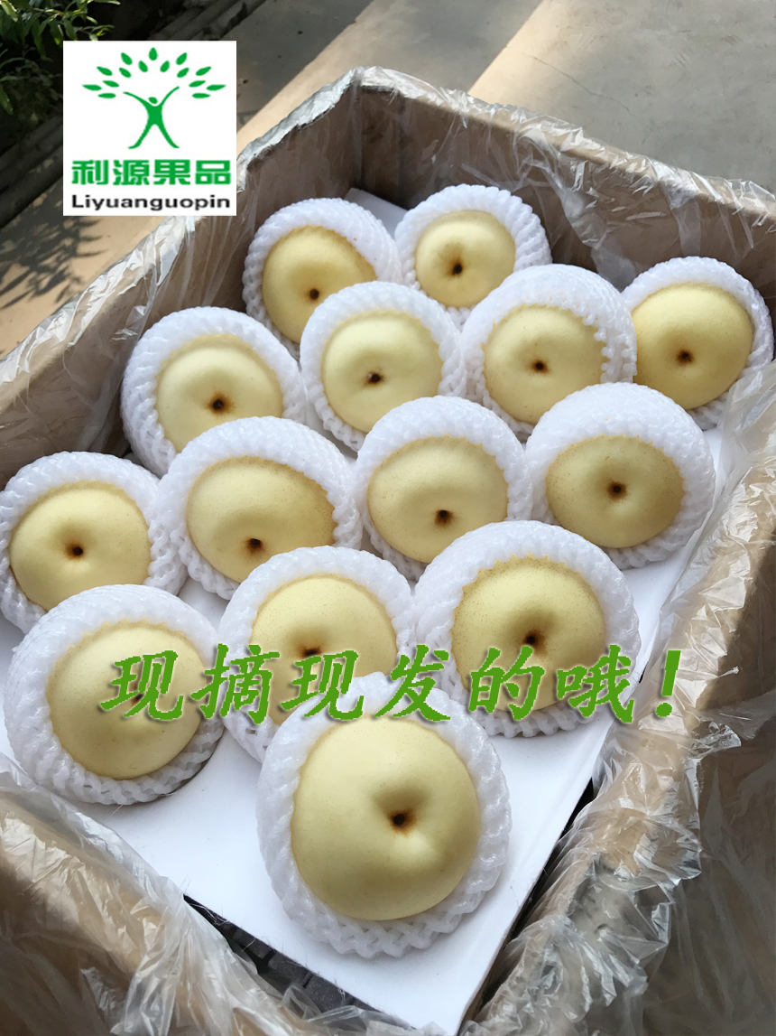 河北皇冠梨20斤包邮新鲜水果梨子鸭梨雪梨苹果梨