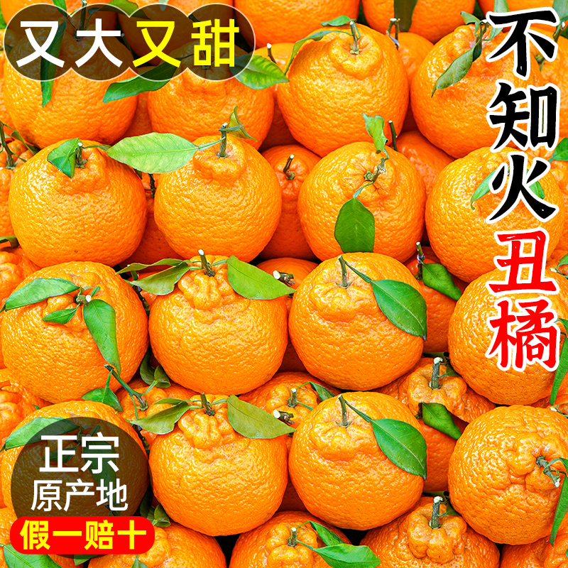 超高品质！丑橘老店！爆卖20万+