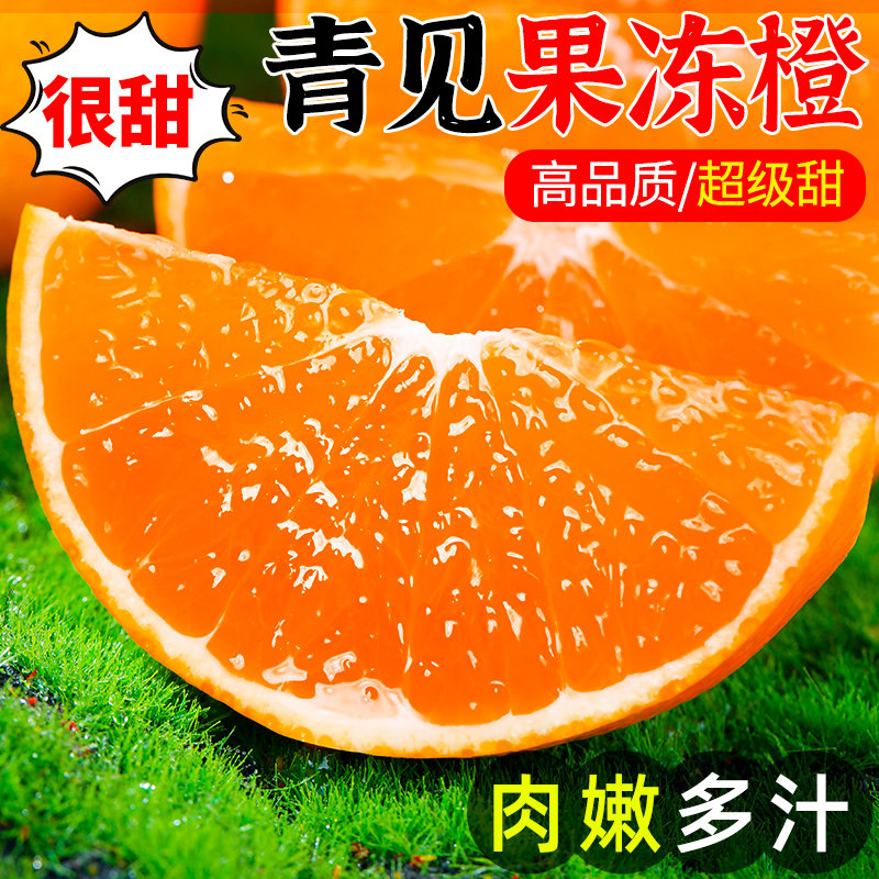 四川正宗青见果冻橙新鲜水果爱媛橙子当季柑橘蜜桔打过整箱手剥橙
