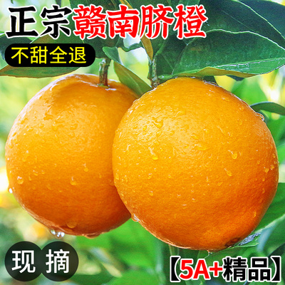 【果园直发】正宗江西赣南脐橙！