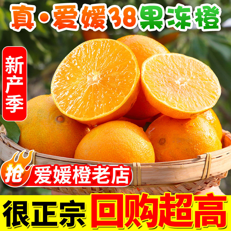 【甄选品质】正宗爱媛38号果冻橙