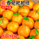 包邮 四川春见耙耙柑9斤当季 新鲜水果丑八怪橘子特级粑粑柑桔整箱