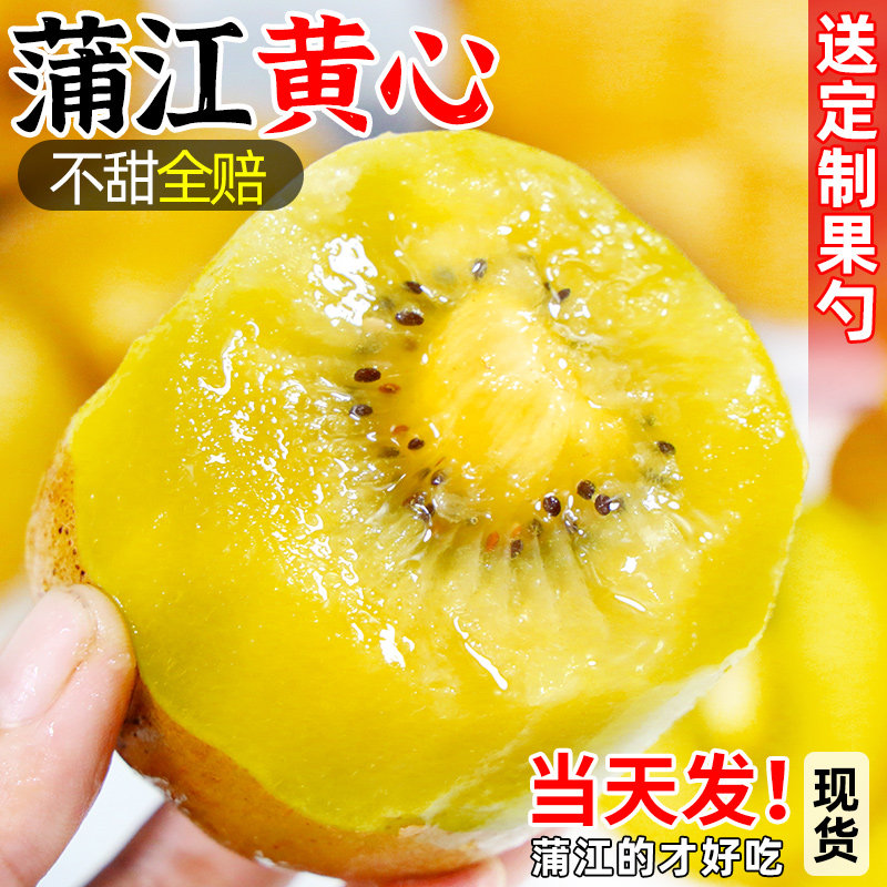 正宗原产地四川蒲江黄心猕猴桃