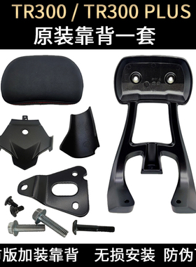 TR300 后扶手靠背总成 24款TR300-5 PLUS 青春版 坐垫后靠背原装