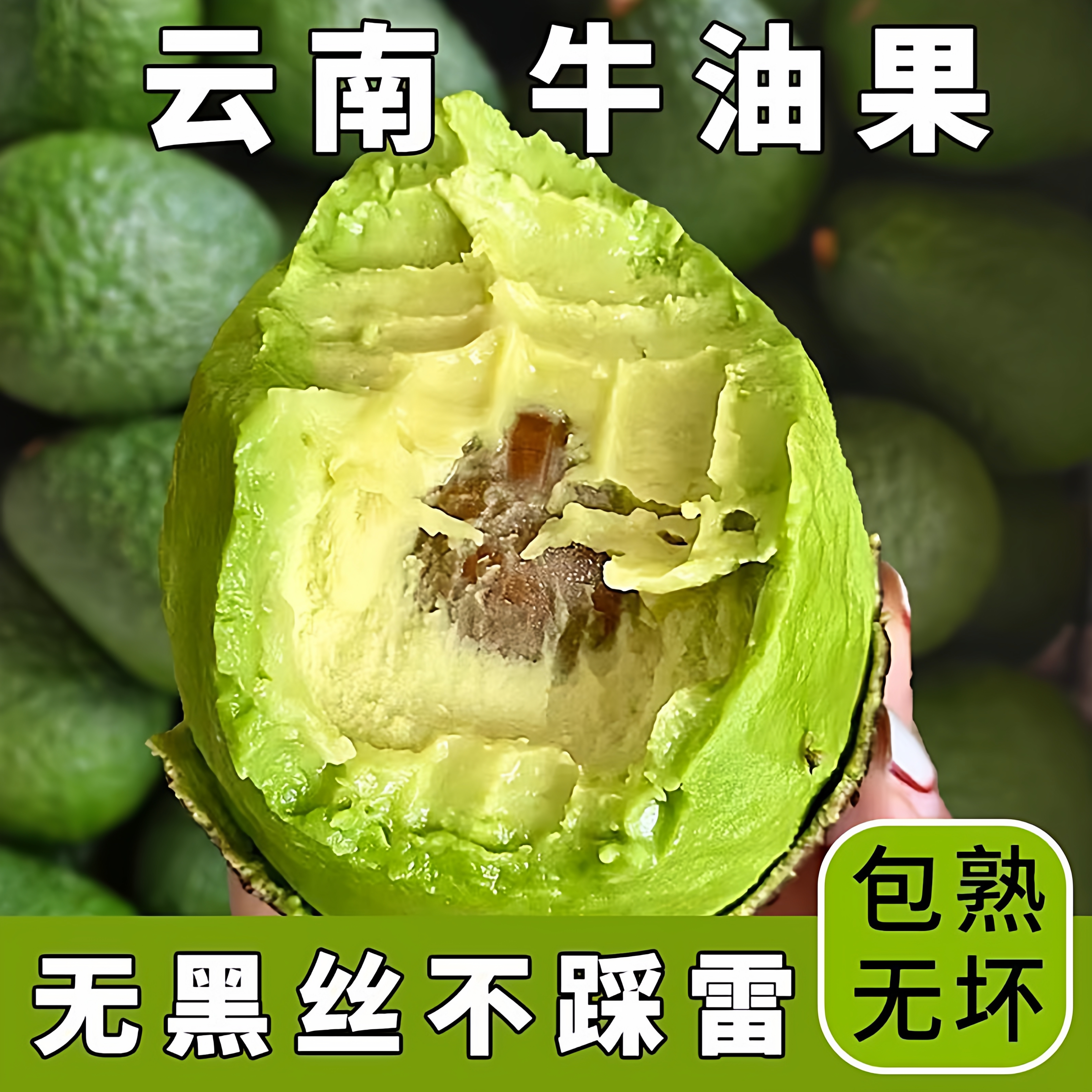 云南哈斯牛油果新鲜水果当季鳄梨奶油果包邮