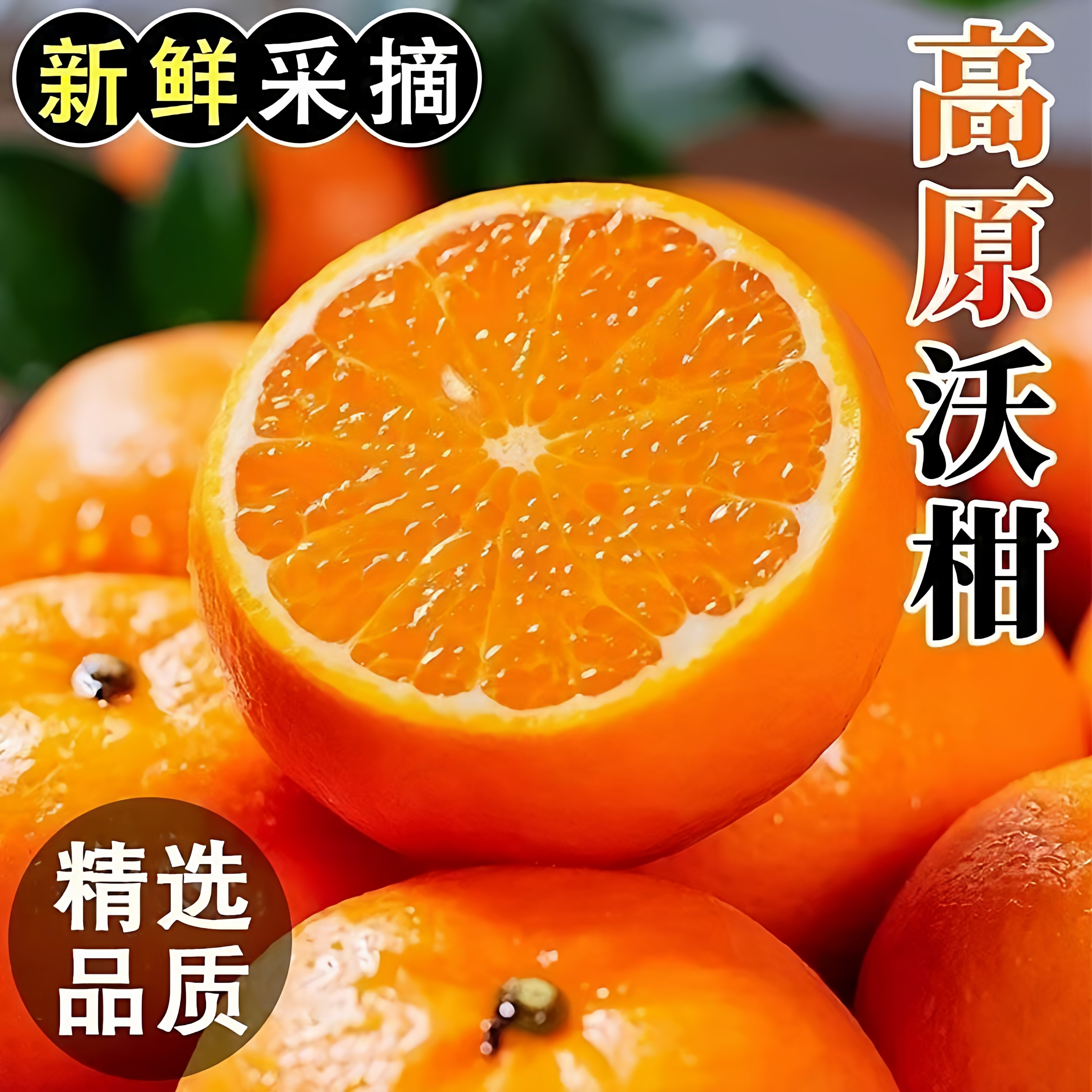 高山正宗甜多汁新鲜沃柑桔子当季水果皮花柑橘批发包邮