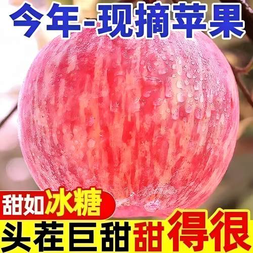 正宗山东烟台红富士苹果新鲜水果脆甜多汁红富士苹果