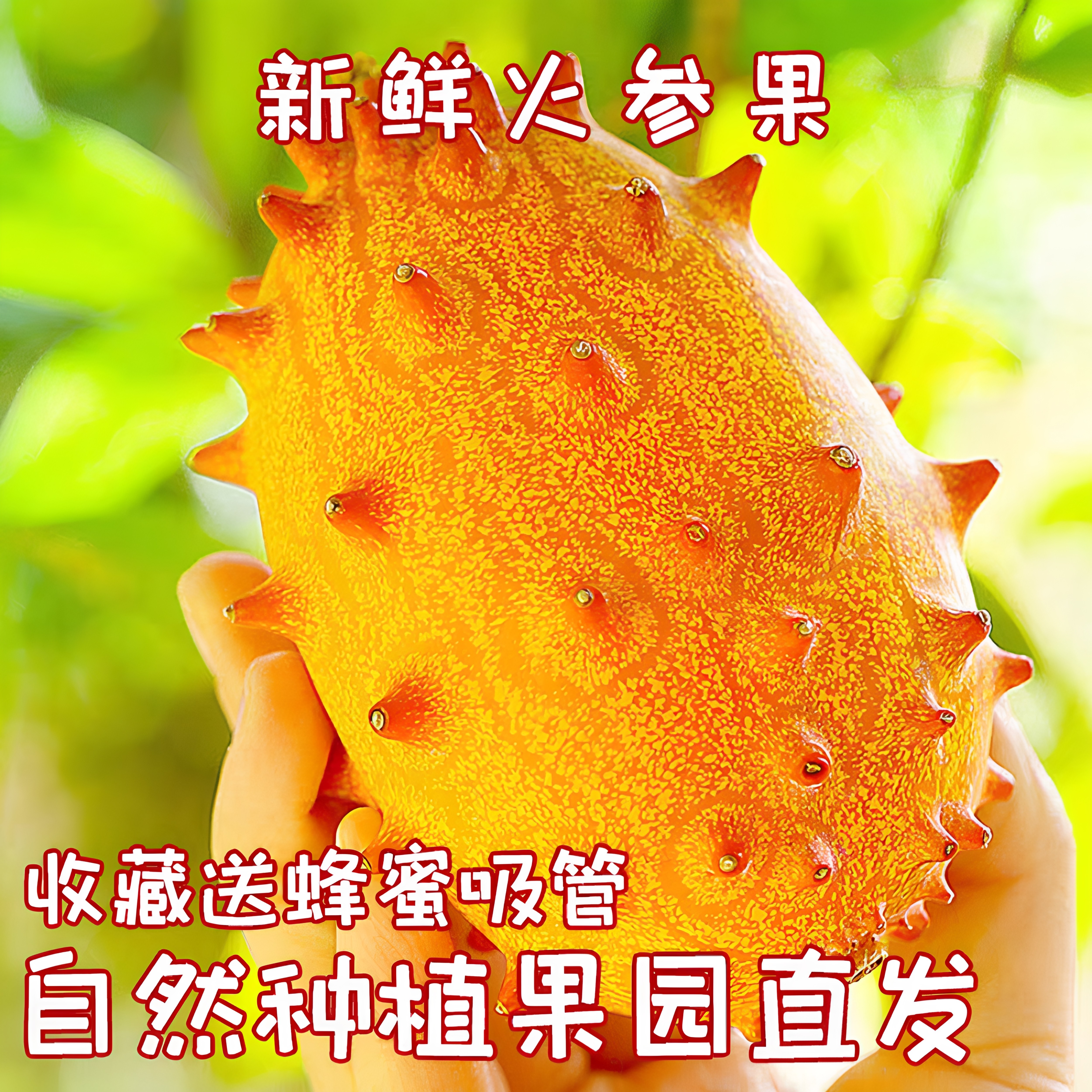 火参果当季新鲜孕妇老人海参果非洲蜜瓜火生果奇异果刺角瓜灭霸果