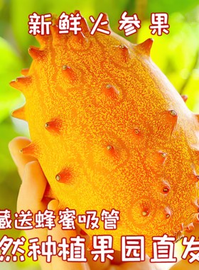 火参果当季新鲜孕妇老人海参果非洲蜜瓜火生果奇异果刺角瓜灭霸果