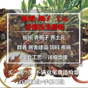 蚯蚓养殖技术视频教程养蝎子自学经验致富新农村养殖土元创业项目