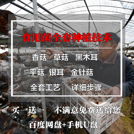 食用菌蘑菇草金针菇羊肚菌木耳栽培种植加工技术视频教程方案
