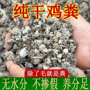 纯干鸡粪有机肥料鸡粪肥农家肥蔬菜果树养花花肥鸡屎粪营养土肥料