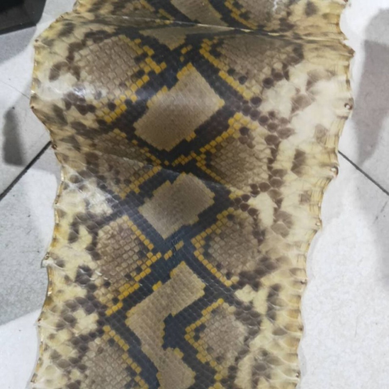 乐器皮整条水蟒皮越胡专用二胡蟒皮高胡蟒皮蛇皮