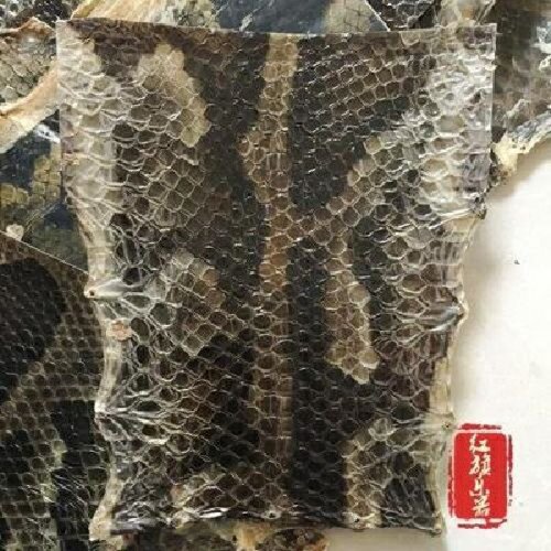 乐器尾皮成块蟒蛇二胡