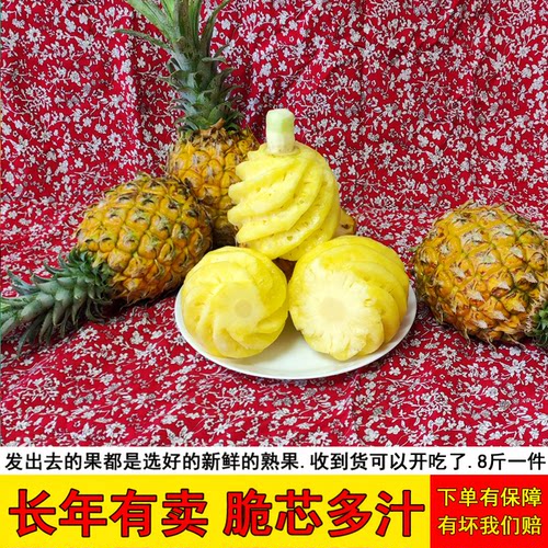 香水菠萝新摘广西熟菠萝