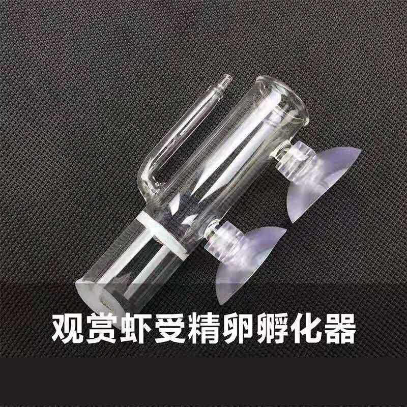 水族箱鱼缸孵化器虾卵other/其他
