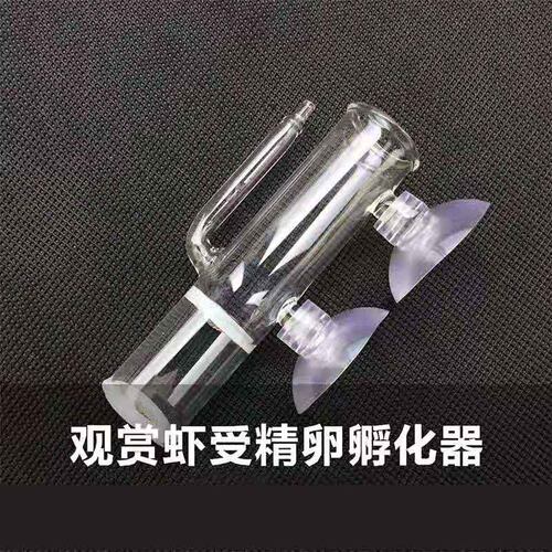 水族箱鱼缸孵化器虾卵other/其他