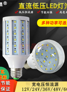 直流DC12vled灯高亮电瓶用夜市机柜车用船用低压太阳能24V3W球泡