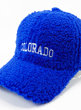 蓝色帽子女网红款羊毛绒棒球帽女韩版字母刺绣潮帽秋冬保暖鸭舌帽