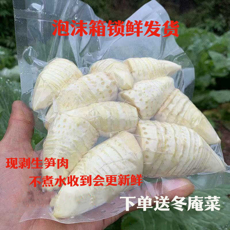 江西新鲜冬笋肉野生高山黄泥冬笋现剥冬笋土特产抽真空泡沫箱加冰