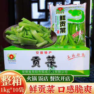 现成新鲜贡菜1kg 10袋商用清水无叶苔菜响菜重庆火锅食材冒菜品