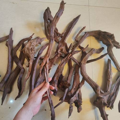 沉木紫柚木小枝条小树根
