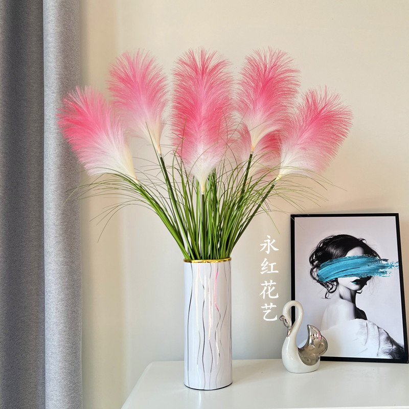 桌面插花芦苇花电视柜花卉