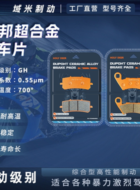 适用龙嘉VMAXie300 XDV300i XADV250Si 踏板摩托车 前后刹车片皮