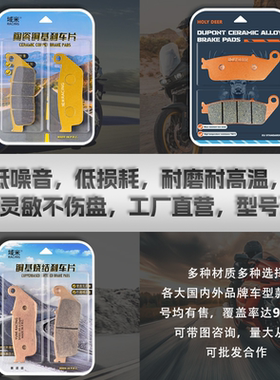 宝马C600 C650GT C600/C650GTSport 踏板摩托车 前后刹车片碟刹皮