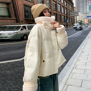 现货 冬装短款拼接羊羔毛羽绒服 202-2435-P245-K349图片