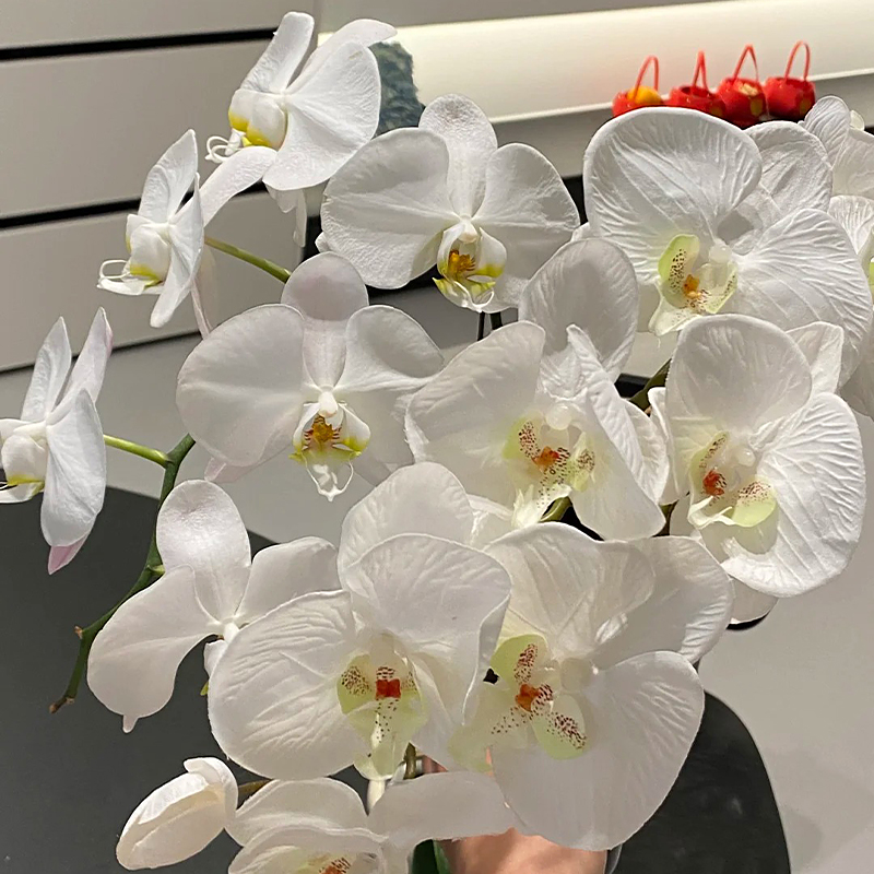 假花仿真花摆设白色蝴蝶兰花永生花桌面装饰插花跳舞兰玫瑰小雏菊