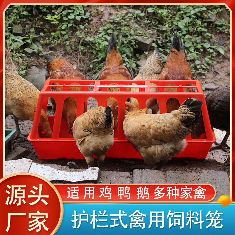 盛航鸡笼鸡鸭鹅防撒食槽实用
