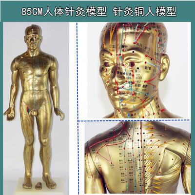 超清晰85CM人体针灸穴位模型