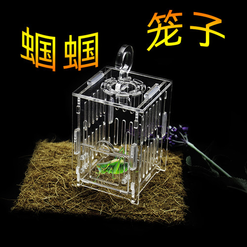 蛐蛐笼子蝈蝈笼子蟋蟀全透明