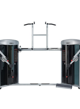 史帝飞/Steelflex MDC2000 原装进口商用全功能双臂训练机/大飞鸟