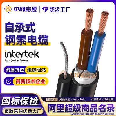 高通自承式钢索电缆葫芦行车电缆手柄控制线RVV1G RVV2G护套阻燃