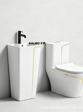 跨境彩色马桶家用大冲力虹吸式灰色轻奢陶瓷防臭抽水卫生间坐便器