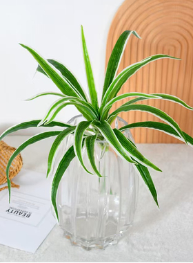 高品质仿真绿植散尾葵塑料插花树枝绿植造景植物盆栽批发单枝花